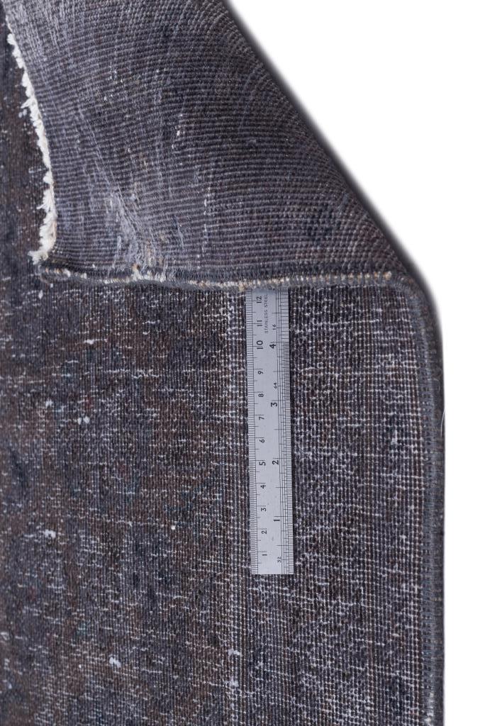 Apex Persian Gray 16655 301 x 415 cm