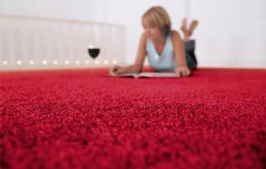 The Relationship Between Rugs and Health for People with Asthma