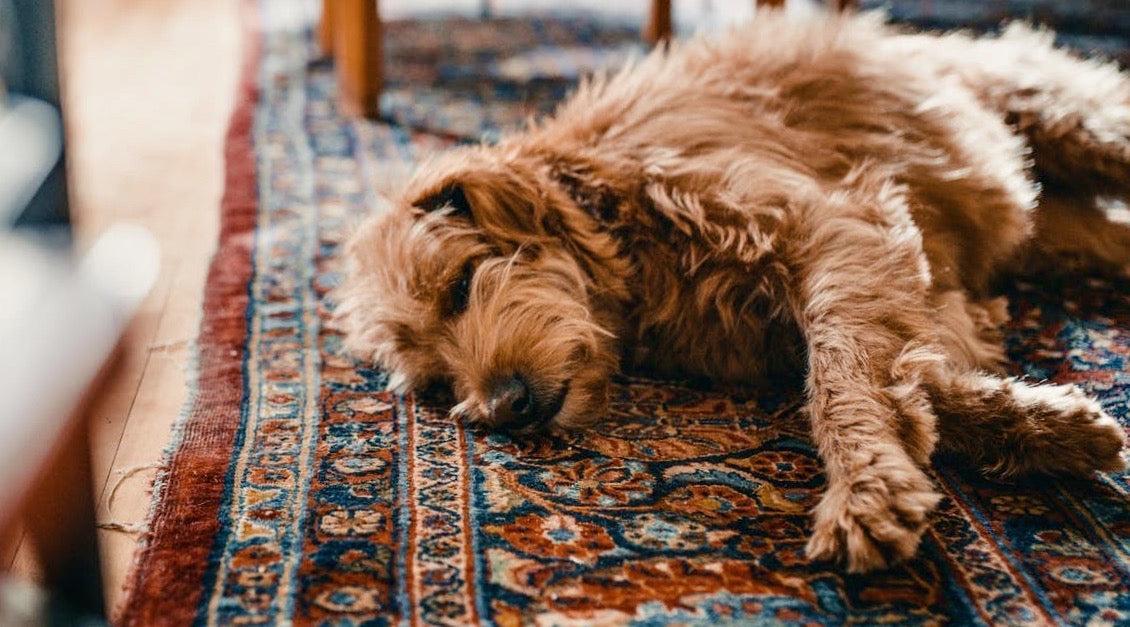 Kilim Motifs and Their Meanings